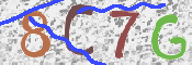 Immagine CAPTCHA